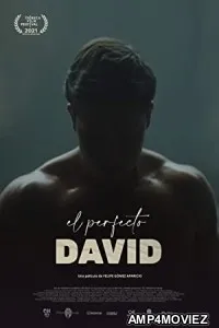 El Perfecto David (2021) HQ Hindi Dubbed Movie