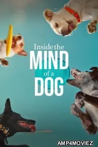Inside The Mind of A Dog (2024) ORG Hindi Dubbed Movie