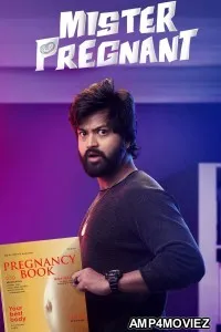 Mr Pregnant (2023) ORG Hindi Dubbed Movies
