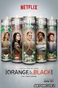 Orange Is The New Black (2015) UNRATED Hindi Dubbed Season 3 Complete Show