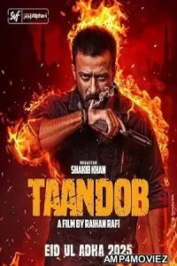 Taandob (2025) HQ Hindi Dubbed Movie