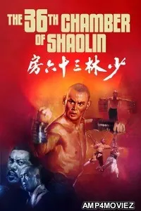 The 36Th Chamber Of Shaolin (1978) ORG Hindi Dubbed Movie