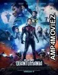 Ant-Man and the Wasp: Quantumania (2023) HQ Tamil Dubbed Movie
