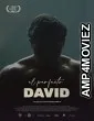 El Perfecto David (2021) HQ Hindi Dubbed Movie