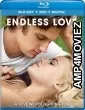 Endless Love (2014) Hindi Dubbed Movies