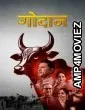 Godaan (2026) Hindi Movie