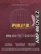 Pinjar (2026) HQ Hindi Dubbed Movie