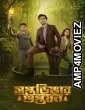 Saptadingar Guptodhon (2026) Bengali Movie