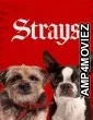 Strays (2023) ORG Hindi Dubbed Movie