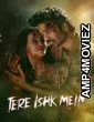 Tere Ishk Mein (2025) Hindi Movie