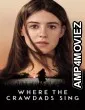 Where The Crawdads Sing (2022) ORG Hindi Dubbed Movie