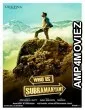 Yevade Subramanyam (2015) UNCUT Hindi Dubbed Movie